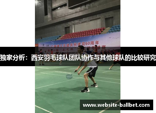 独家分析：西安羽毛球队团队协作与其他球队的比较研究