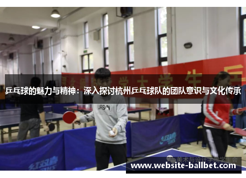 乒乓球的魅力与精神：深入探讨杭州乒乓球队的团队意识与文化传承