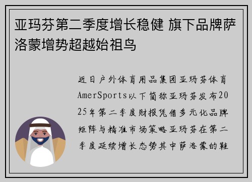 亚玛芬第二季度增长稳健 旗下品牌萨洛蒙增势超越始祖鸟